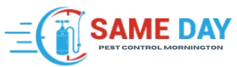 Same Day Pest Control Mornington